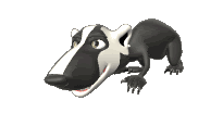 Skunk Animated Gif
