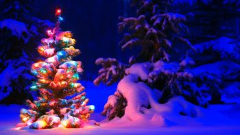 Snowy Christmas Tree Lights