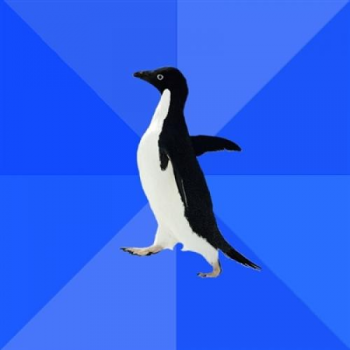 Socially Funny Meme Download Awkward Funny Meme Download Penguin