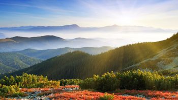 Sunrise Forest Mountains
