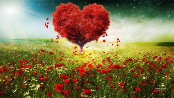 Valentines Day Love Heart Tree Landscape HD