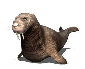 Walrus Animated Gif Download Gif Image For Free Wallpaper Download For Android Mobile