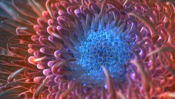 Digital Anemone Flower