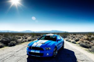 Ford Shelby Gt500 Car