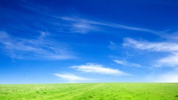 Blue Sky And Green Grass