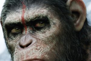 Dawn Of The Planet Of The Apes HD Wallpaper Download For Android Mobile