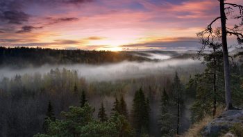 Foggy Sunrise National Park HD Wallpaper Download Wallpaper