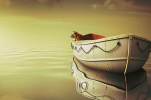 Life Of Pi Boat Tiger Wallpaper HD Wallpaper Download Download