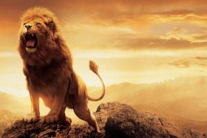 Narnia Lion Aslan HD Wallpaper Download Wallpaper