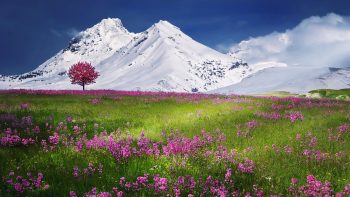 Snow Mountains Landscape Wallpaper HD Wallpaper Download Download