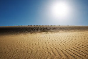 Sunny Desert HD Wallpaper Download For Android Mobile
