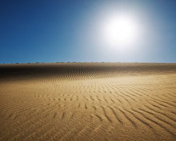 Sunny Desert HD Wallpaper Download For Android Mobile