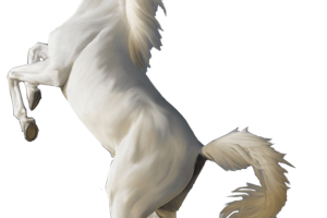 3D White Horse Standing HD Wallpapers Download For Android Mobile