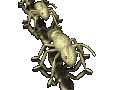 Animated Ant Gif Cool Image