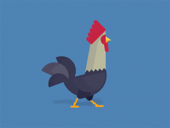 Animated Chicken Rooster Gif Nice