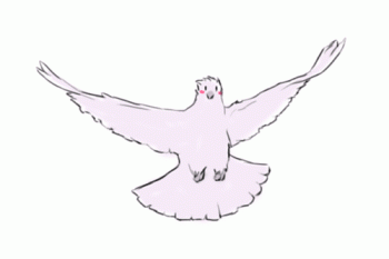 Animated Dove Gif Cool Image Animate Image Gif Image Download For Android Mobile Wallpaper in Gif Format Moving Image Download For Free