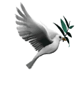 Animated Dove Gif Cool Image