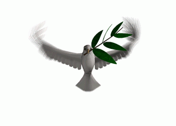 Animated Dove Gif Download