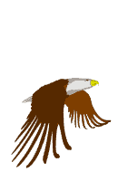 Animated Eagle Cool Image Gif Image Download For Android Mobile Wallpaper in Gif Format Moving Image Download For Free