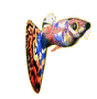 Animated Guppy Fish Super