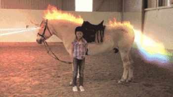 Animated Horse Gif Hot Love