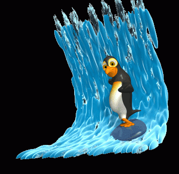 Animated Penguin Gif Hot