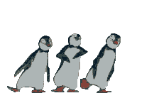 Animated Penguin HD