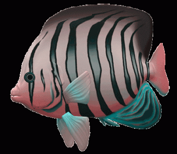 Animated Tropical Fish Love