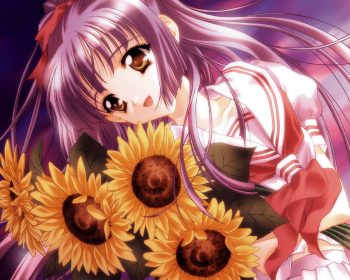 Anime Girls Download HD Wallpaper For Desktop Flowers Full HD