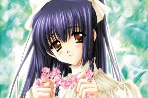 Anime Girls Like HD Wallpaper For Free