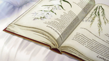 Book Pages Turning Animated Gif