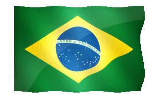 Brazilian Flag Animated Gif Hot Cool