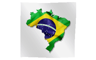 Brazilian Flag Animated Gif Nice Hot