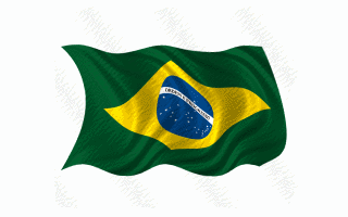 Brazilian Flag Animated Gif Nice Love