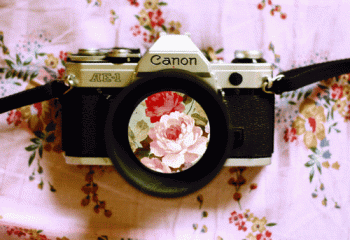 Camera Taking Pictures Animated Gif Nice Cute