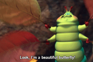 Caterpiller Animated Gif Love