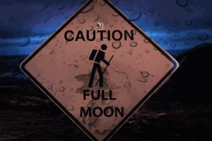 Caution Full Moon Sign Animated Gif