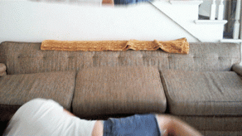 Couch At Home Animated Gif Hot Download