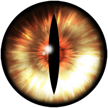 Eye  3D PNG Image Transparent HD Wallpapers Download For Android Mobile