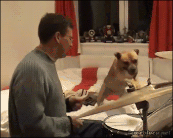 Drums Animated Gif Nice Download