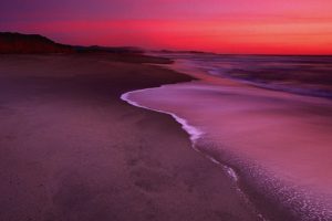 Dunes Beach HD Wallpaper For Free