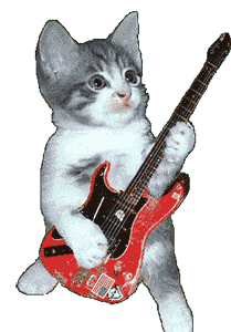 Electric Guitar Kitten Musician Animated Super