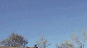 Explosion Animated Gif Cool Cute