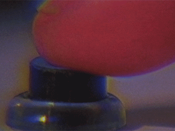 Finger Pressing Button Animated Gif Cool Image