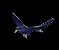 Flying Bird Animation Cool Image Gif Image Download For Android Mobile Free Animated Image Download Moving Image