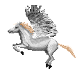 Flying Unicorn Pegasus Animation