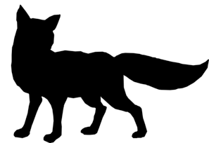 Black   Fox PNG Image HD Wallpapers Download For Android Mobile