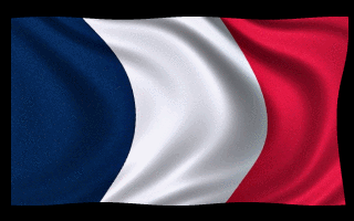 France Flag Waving Animated Gif Hot Download