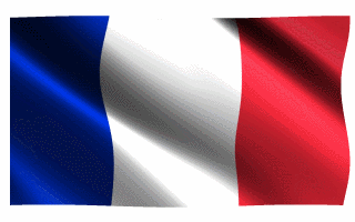 French Flag Waving Animated Gif Hot Cool
