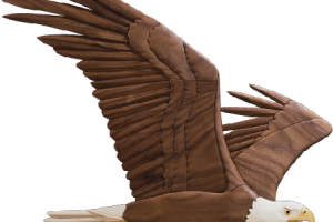 Animated  Soaring Eagle Transparent  PNG Image HD Wallpapers Download For Android Mobile